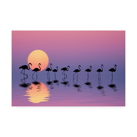 Bess Hamiti 'Family Flamingos' Canvas Art,30x47